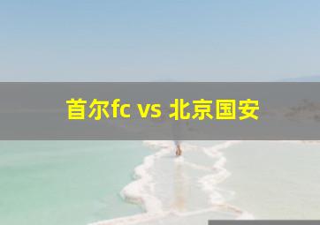 首尔fc vs 北京国安